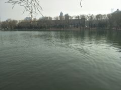 -朝阳公园游乐园