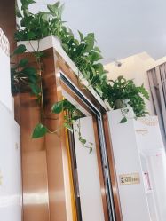 点击看大图 -尚艺造型.剪烫染.接发
