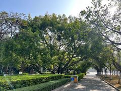 -厦门大学(思明校区)