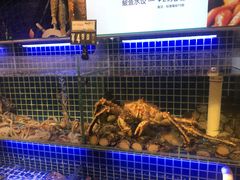 -必点海鲜·鲅鱼水饺(鞍山西道店)