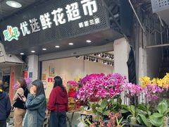 -溪岸路花鸟市场