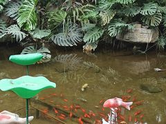 -祥源·阜阳生态乐园