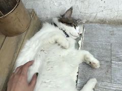 -小时光咖啡馆(北锣鼓巷店)