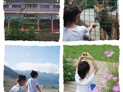 -武陵山森林公园