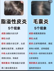 -Bollins波林丝•专研护发中心