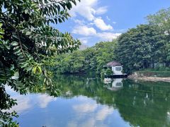 -侨美·唐荔园·40年地道粤菜