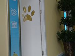 -瑞鹏宠物医院·爱宠堂·骨外专科(西荷分院)