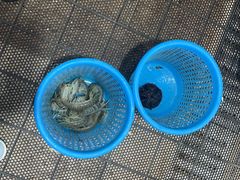 -岛中岛·海鲜大排档·万宁老字号(东澳店)