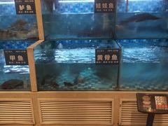 -饭橘汉江码头·乡野土菜馆(静安路店)