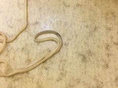 -杨门·豌豆杂酱面