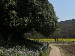 -八卦田遗址公园