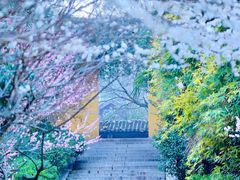 -苏州上方山国家森林公园