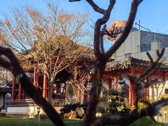 -九献创意菜·牛排馆(亮马河花园店)