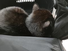 -宠颐生中康贝怡动物医院