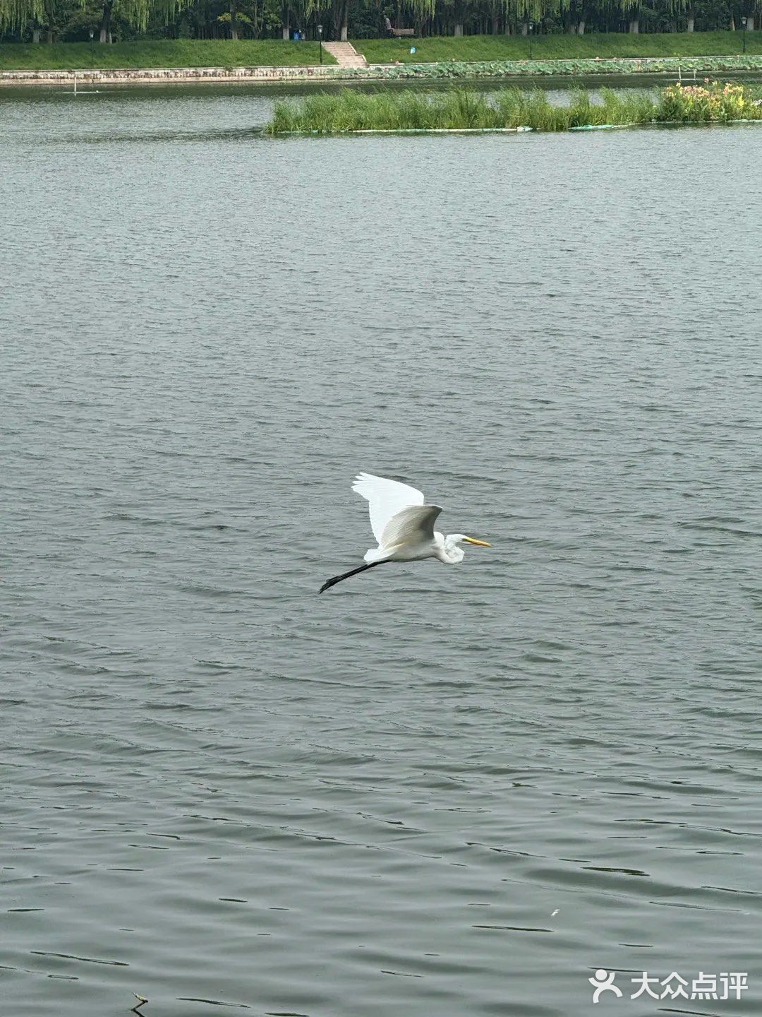 🔥北京罗马湖旁的宝藏烤肉店——元喜地摊烤肉🍖