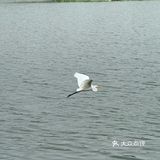 🔥北京罗马湖旁的宝藏烤肉店——元喜地摊烤肉🍖