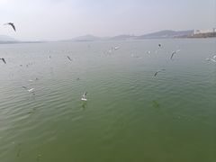 -云龙湖旅游景区