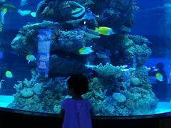 -成都浩海立方海洋公园