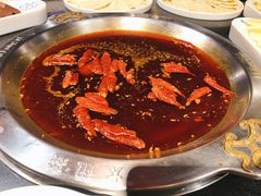 -大龙燚火锅(春熙店)