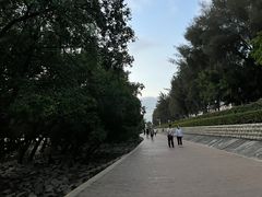 -宝安西湾红树林湿地公园