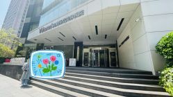 -上海玫瑰医疗美容医院