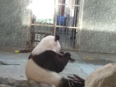 -西安秦岭野生动物园