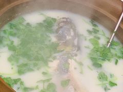 天目湖鱼头-海江5号