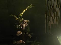 -泰之源足浴会所(玉环店)