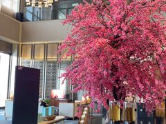 -成都安仁福朋喜来登酒店