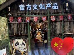 -都江堰中华大熊猫苑