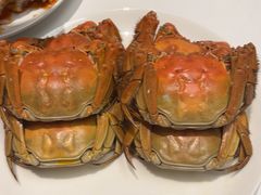 -洋洋中餐馆·SINCE 1997(信投店)