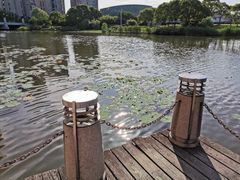 -新江湾城公园