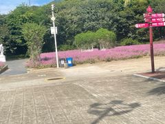 -玫瑰海岸文化旅游度假区
