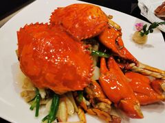 葱姜炒膏蟹-新南华大酒店(广中店)