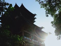 -杭州半山国家森林公园