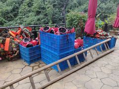 -将军关探险漂流