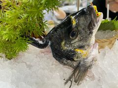 -明本湛江鸡•海鲜小厨(陈家祠店)