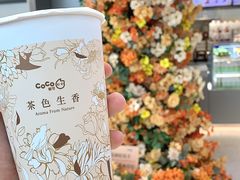 -CoCo都可(崇川万象城店)