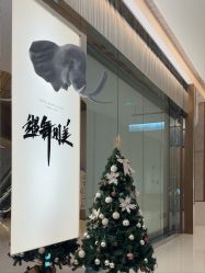 -YASAKI国际舞蹈中心