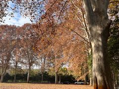 -河南省黄河迎宾馆