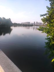 -剑鱼皮划艇俱乐部(石湖基地)
