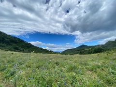 -白草畔自然风景区
