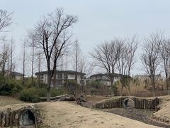 -田园东方蜜桃村的田野营地