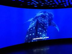 -同济大学四平路校区深海探索馆