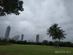 -万绿园