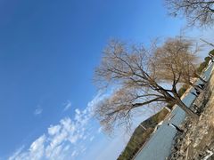 -上海月湖雕塑公园