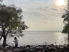 -宝安西湾红树林湿地公园