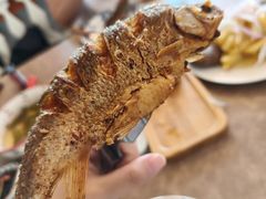 -卓娅俄餐厅(恩和俄罗斯民族乡店)