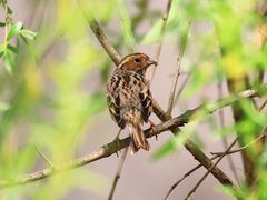 -白鹭湾湿地公园