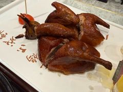 朱记乳鸽王-朱记乳鸽王·非遗石岐乳鸽·全鸽宴(大兴旗舰店)